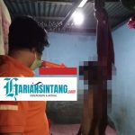 Akibat Putus Cinta Seorang Remaja Nekat Bunuh Diri