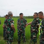 Cek Kesiapan Program Oplah Di Kabupaten Sambas Dandim 1208/Sambas Dampingi Tim Kementan RI Tinjau Sasaran.