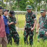 Komandan Kodim 1208/Sambas Dampingi Tim Pengawasan Optimalisasi Lahan Di Wilayah Kabupaten Sambas