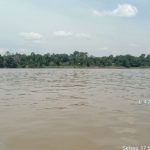 Tidak Benar Ada Aktivitas Pertambangan Di Entabuk Sungai Kubu Dusun Pelanja
