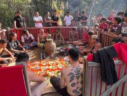 Sabang Merah Borneo Memiliki Empat Tujuan Utama, Simak Berikut Ini!