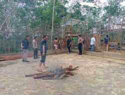 Quick Respon Polres Sintang, Tindak Lanjuti Aduan Masyarakat Terkait Aktifitas Judi Sabung Ayam