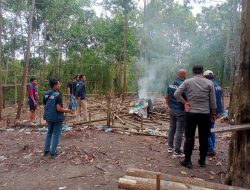 Warga Resah Aktifitas Judi Sabung Ayam di Daerah Tebelian, Polres Sintang Respon Aduan Masyarakat