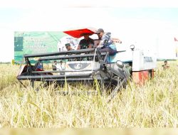 Pangdam XII Tanjungpura Ikuti Panen Raya Padi Bersama Presiden RI