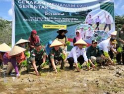 Dukung Ketahanan Pangan di Kabupaten Sintang, Dandim 1205 Ikuti Penanaman Padi Serentak