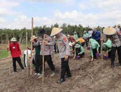 Kapolres Sintang Ikuti Langsung Penanaman Jagung Kuartal III di Jerora