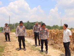 Kapolres Sintang dan Wakapolres bersama Para PJU Tinjau Kesiapan Jelang Panen Raya Serentak Kuartal III