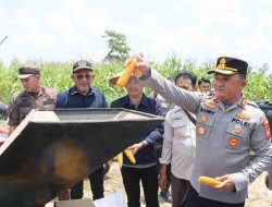 Polres Sintang Gelar Panen Raya Jagung Serentak Kuartal III, Dukung Program Asta Cita Ketahanan Pangan
