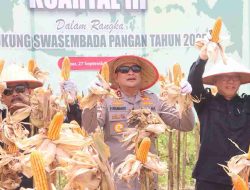 Panen Raya Jagung Serentak Kuartal III di Sanggau, Kapolda Kalbar: Ini Bukti Sinergi Kita Semua