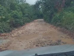 Diduga PT BSL Jual Beli Lahan Ilegal dan Tumpang Tindih CSR