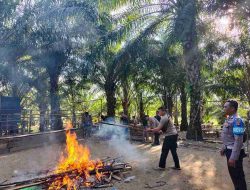 Polsek Sepauk Tindak Tegas Lokasi Judi Sabung Ayam di Desa Lengkenat