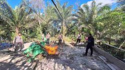 Polsek Sepauk Bongkar Arena Sabung Ayam di dusun Lepung Beruang Desa Sekubang KM 38 Kayu Lapis