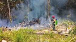 Anggota Koramil 1205-06/Sepauk Bersama Forkopimcam Tangani Karhutla di Kecamatan Sepauk