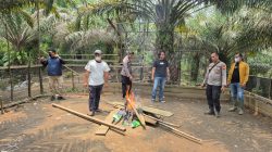 Polsek Sepauk Bongkar dan Bakar Sisa Arena Sabung Ayam di Desa Nanga Libau